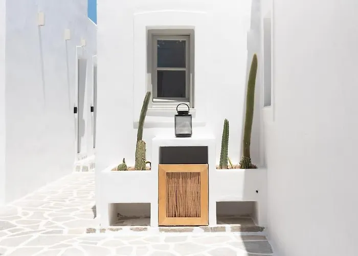 Swell S6 New In * Νάουσα