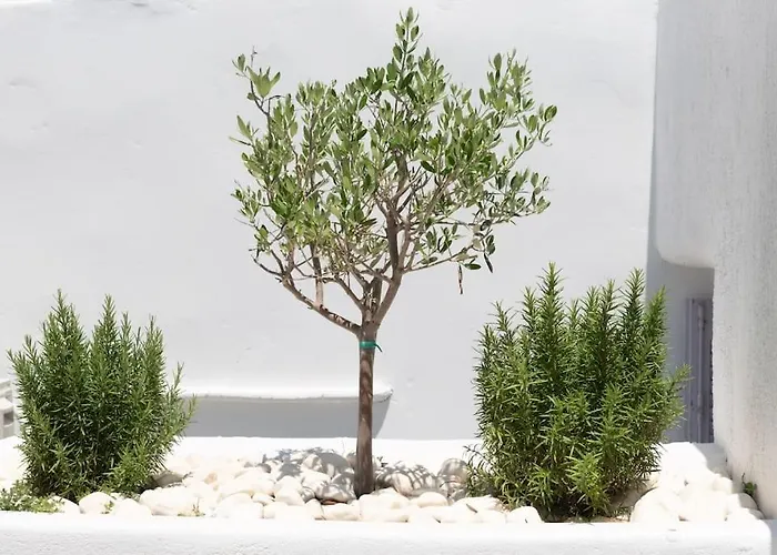 Διαμέρισμα Swell S6 New In