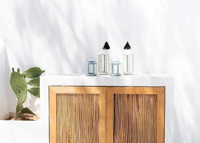 Swell S6 New In * ナウサ